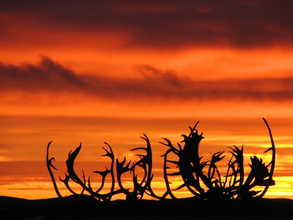 Peterson'S Point Lake Lodge Yellowknife Esterno foto